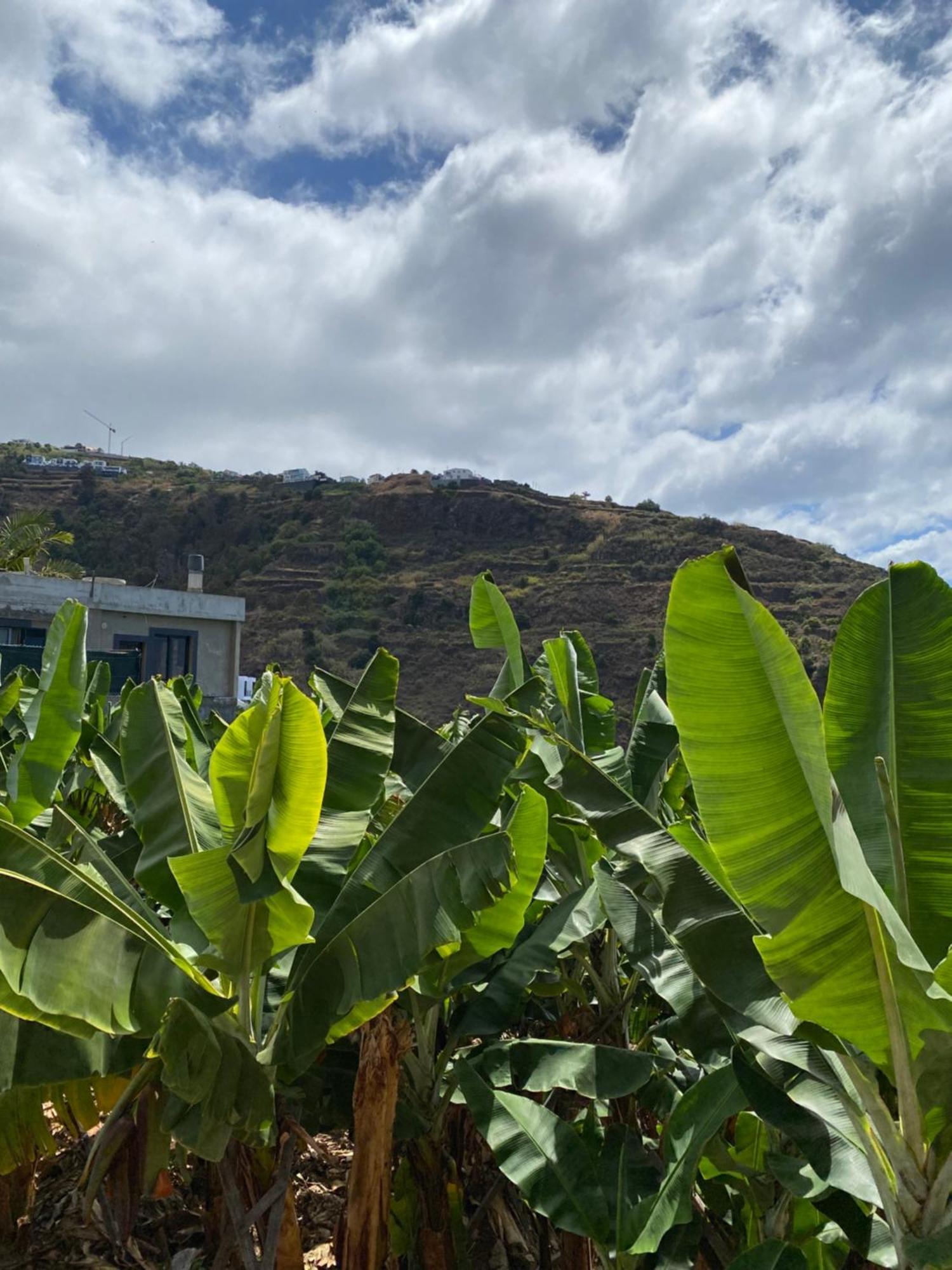 Apartament Pana House Calheta  Zewnętrze zdjęcie